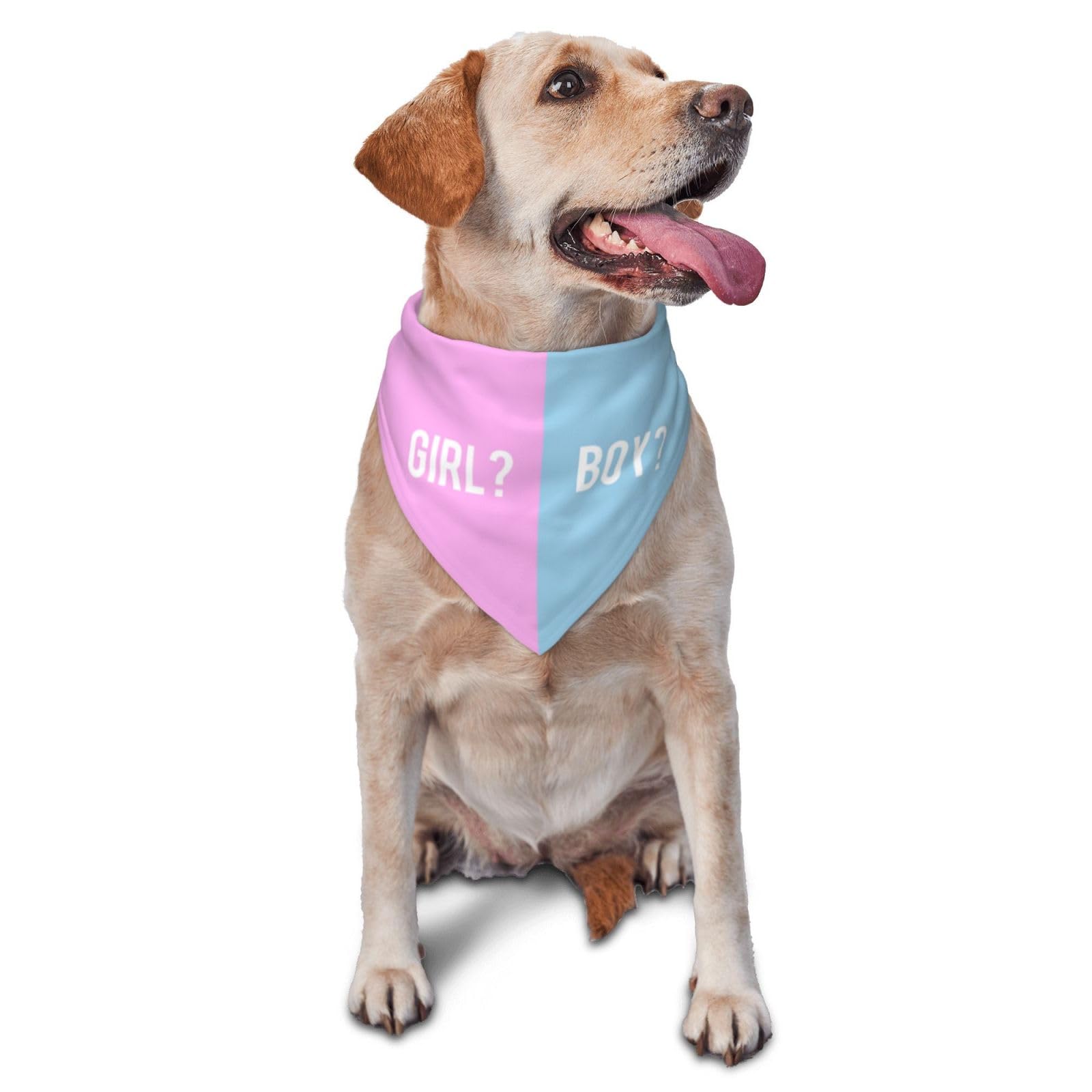 vercosee He Or She What Will It Be? Gender Reveal/Baby Announcement Dog Bandana,Pet Neckerchief for Pets Daily Wear Photo Prop Party Supplies (Pink/Blue-1)