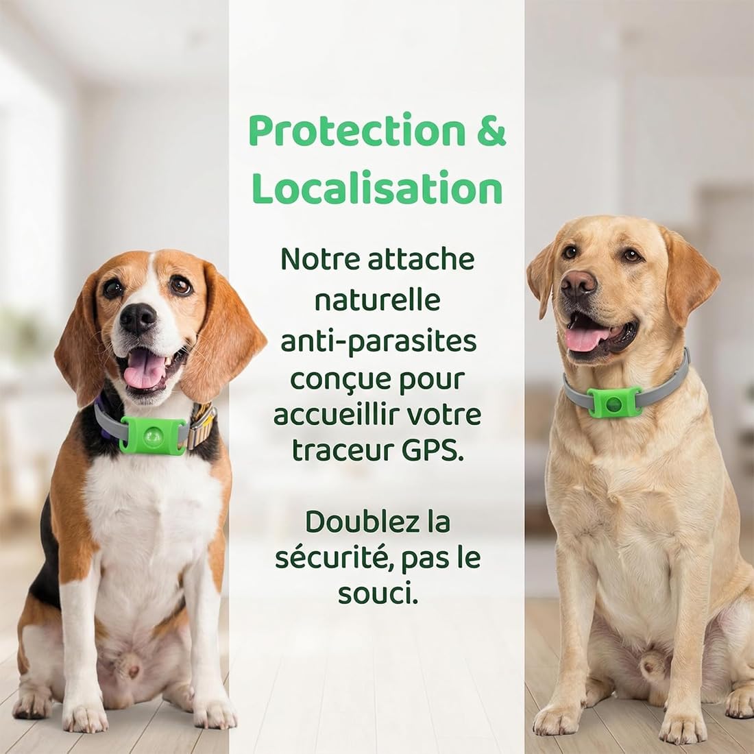 Collier répulsif Anti-puces et tiques pour Animaux, Protection Naturelle 12 Mois pour Chiens, 4 Capsules Remplaçables, Réglable, sans Contact Direct avec la Peau (F)