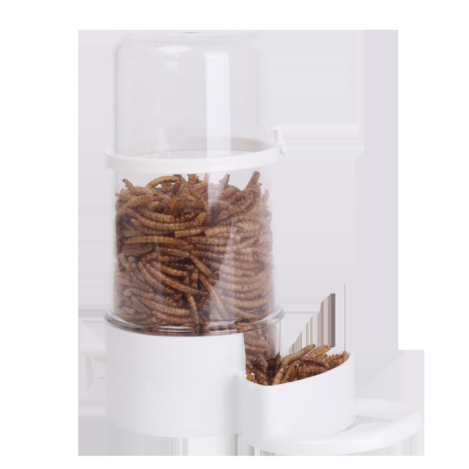 Patapalooza Bird Feeder with Sturdy Design, Easy to Clean and Anti-Lost System; Ideal for Feeding Birds in Gardens and Outdoor Spaces