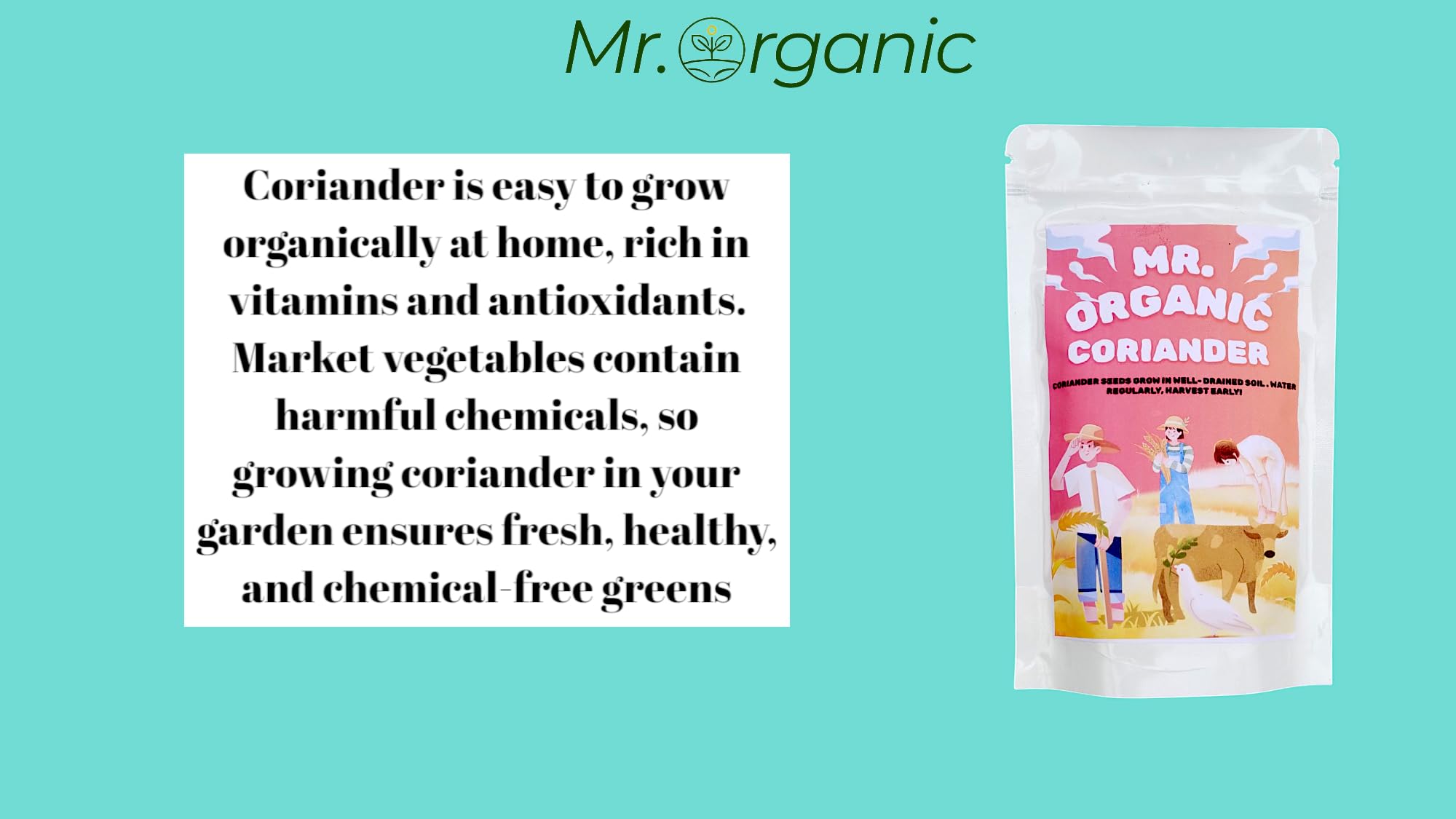 Mr.Organic Coriander Seeds - Grow Fresh Herbs! -5
