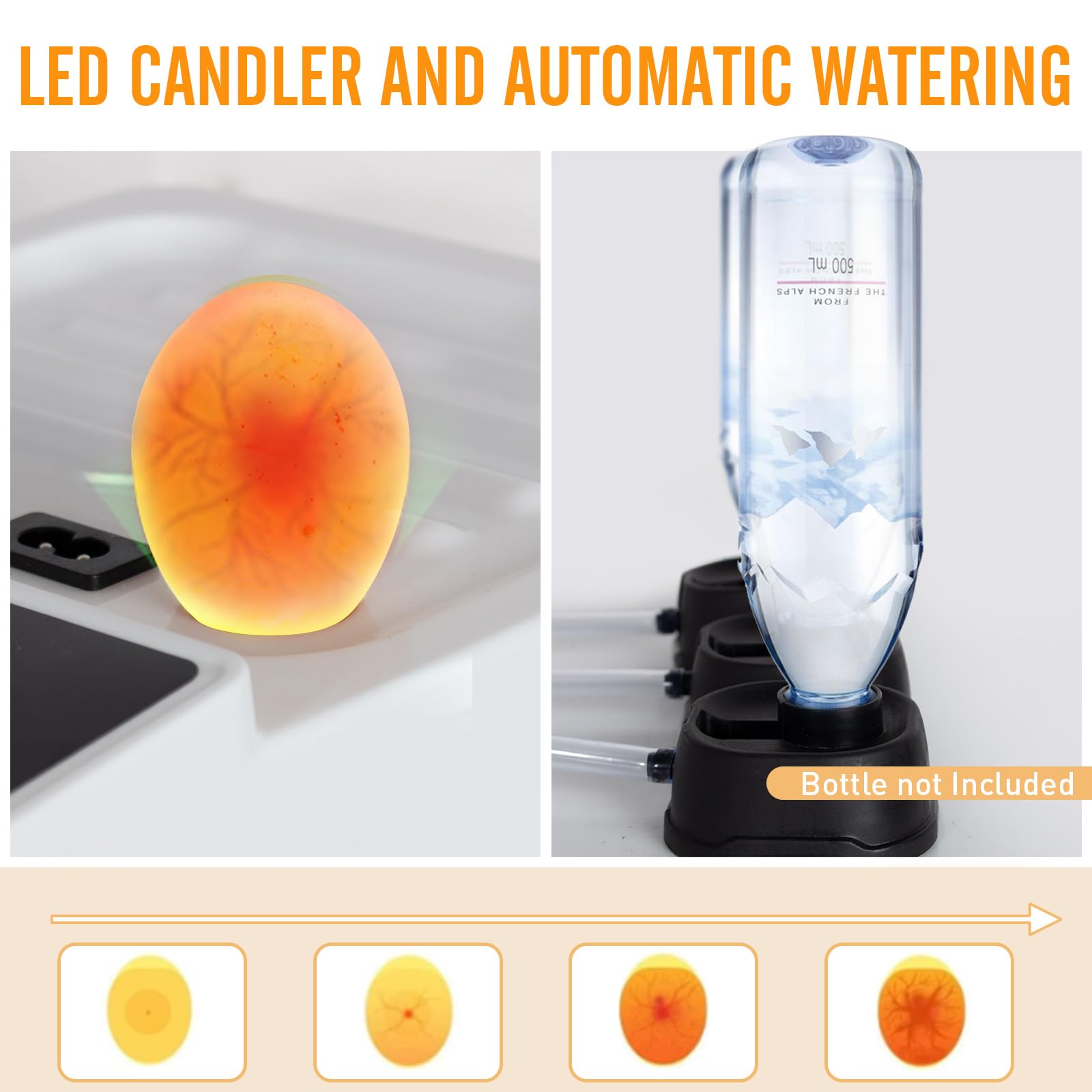 Todeco Couveuse Automatique 48 Œufs, Incubateur avec Température Réglable | Retournement Automatique, Humidification Automatique, Mire-œufs LED, Double Alimentation Électrique, pour Volailles