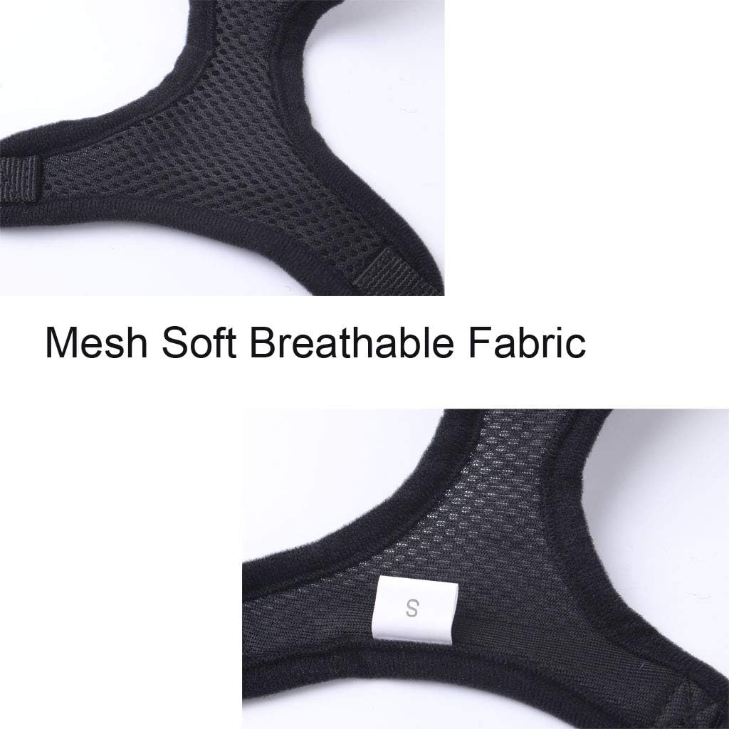 Meeyou Little Pet Adjustable Mesh Harness with Leash(M,Black)