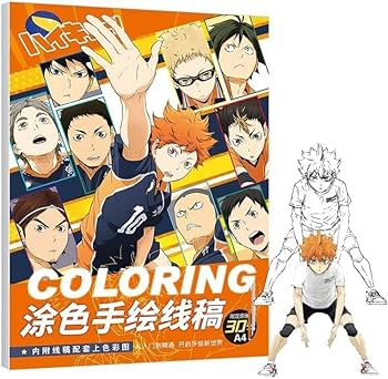 ハイキュー 漫画 24～45 日向翔陽 影山飛雄 月島蛍 孤爪研磨 黒尾鉄朗