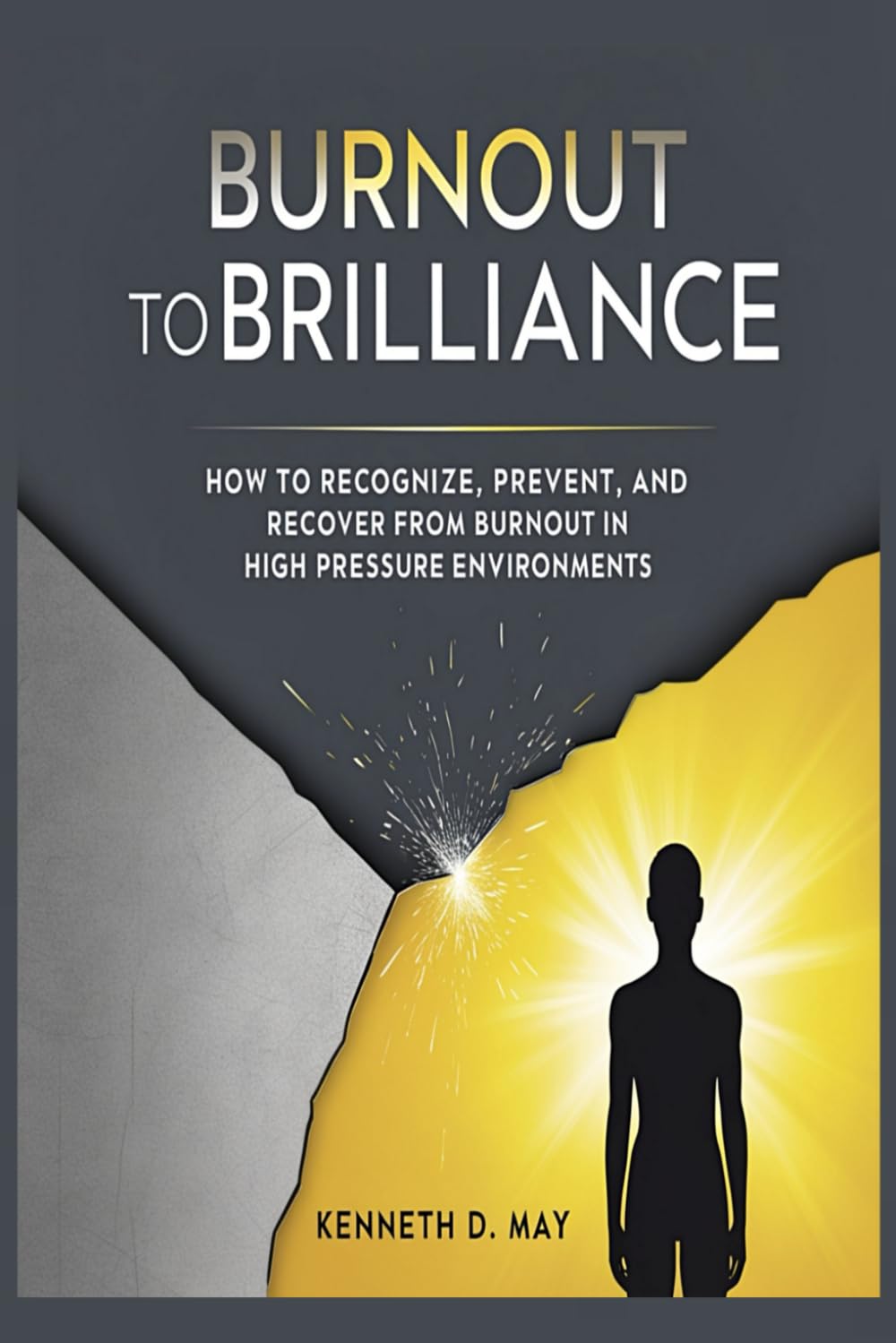 BURNOUT TO BRILLIANCE: How to Recognize, Prevent, And Recover From Burnout in High Pressure Environments