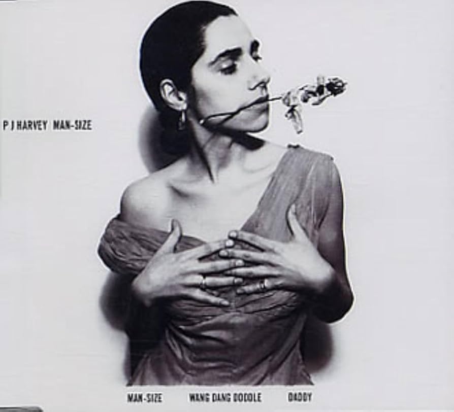 絶版 PJ Harvey 「The Hollow of the Hand」大型本 絶版 PJ Harvey 「The Hollow of the Hand」大型本 絶版 PJ