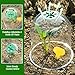 Vumdua Cloche Garden Dome, 6 Pack Plant Covers, Clear Plastic Dome, Humidity Domes for Seed Starting Greenhouse, Plant Dome with 18 Ground Securing Pegs & 10 Plant Label (7.3