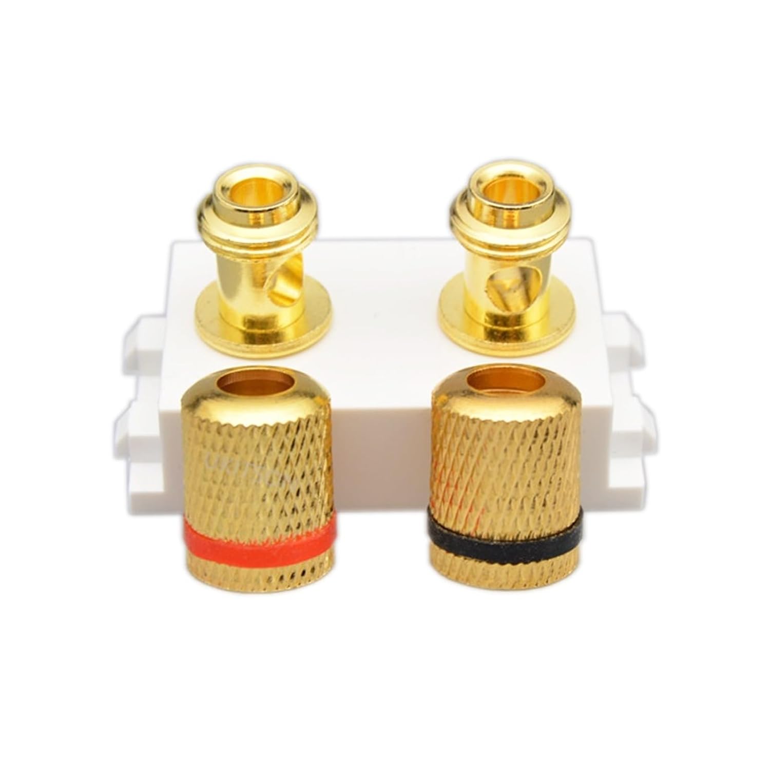 Gold-Plated Binding Posts Speaker Jack Socket hi-fi Audio Connector