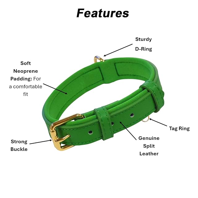 Foto 5 de 6 de Collar de perro ajustable de piel auténtica vibrante con acolchado de neopreno suave