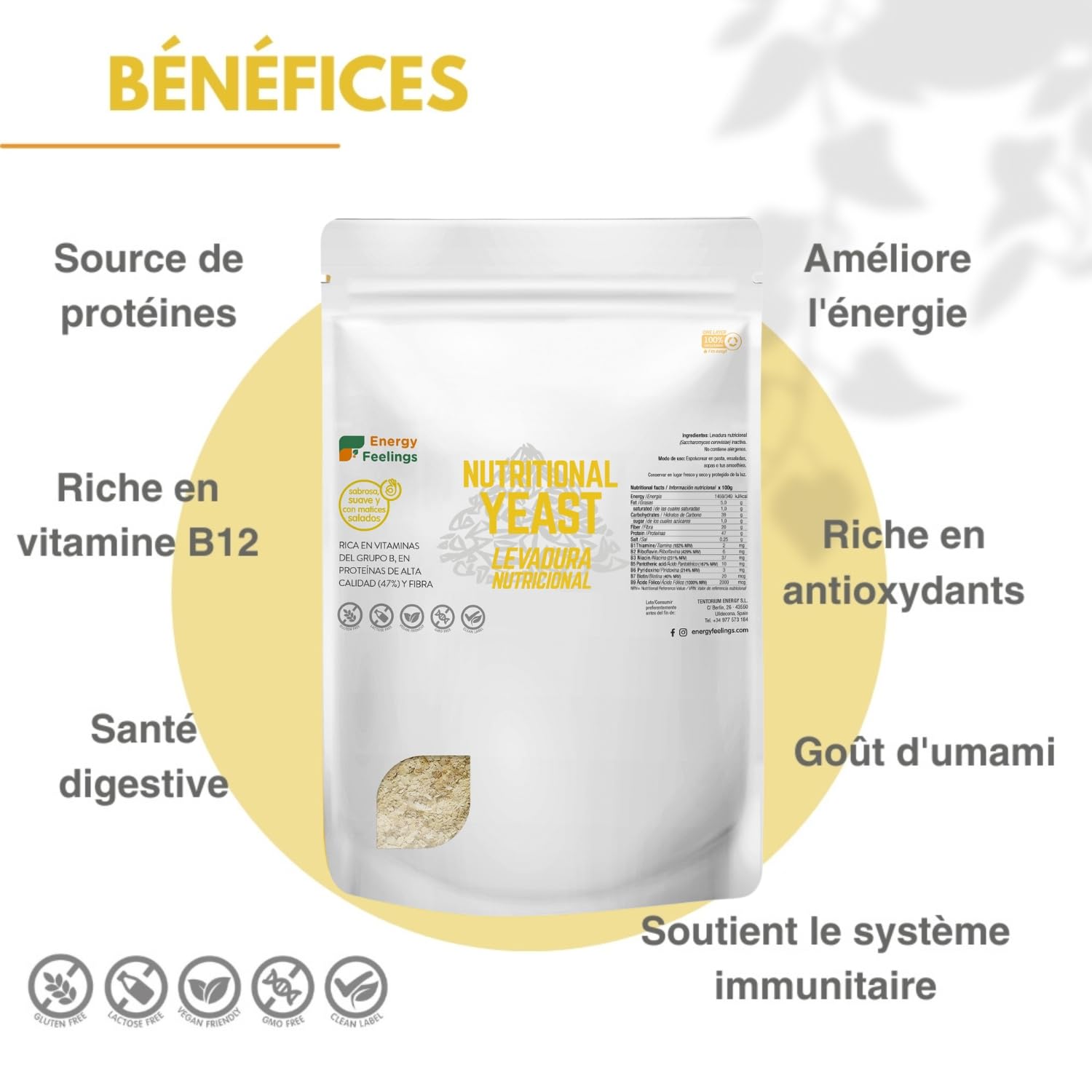Energy Feelings Levure Nutritionnelle 1kg, Levure Sans Gluten Dietetique, Riche en Vitamines B et en Protéines Sans Sucre 47%, Nutritional Yeast Idéal pour le Fromage Vegan