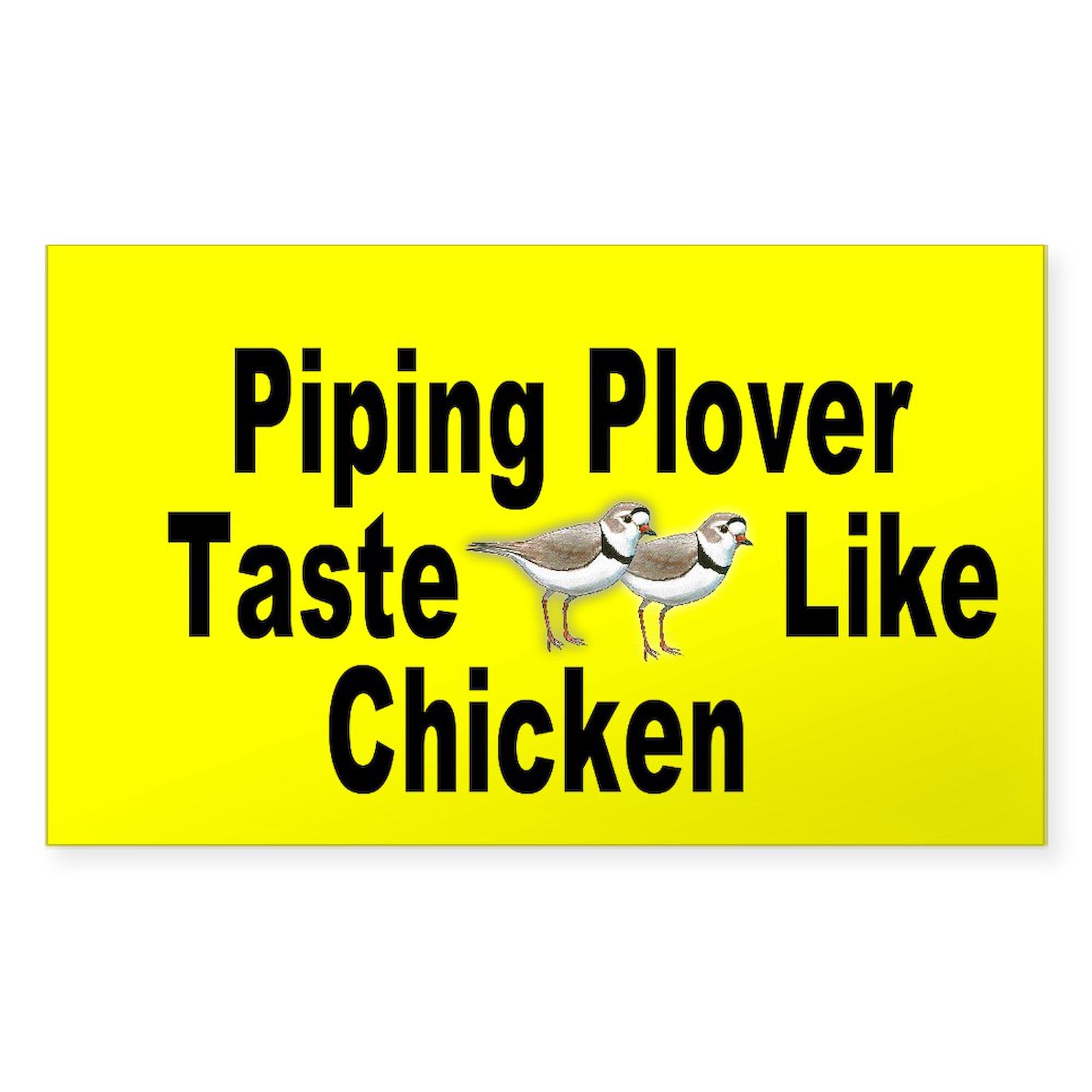 CafePress Oval Piping Plover Taste Like Chicken Sticker Rectangle Bumper Sticker Car Decal