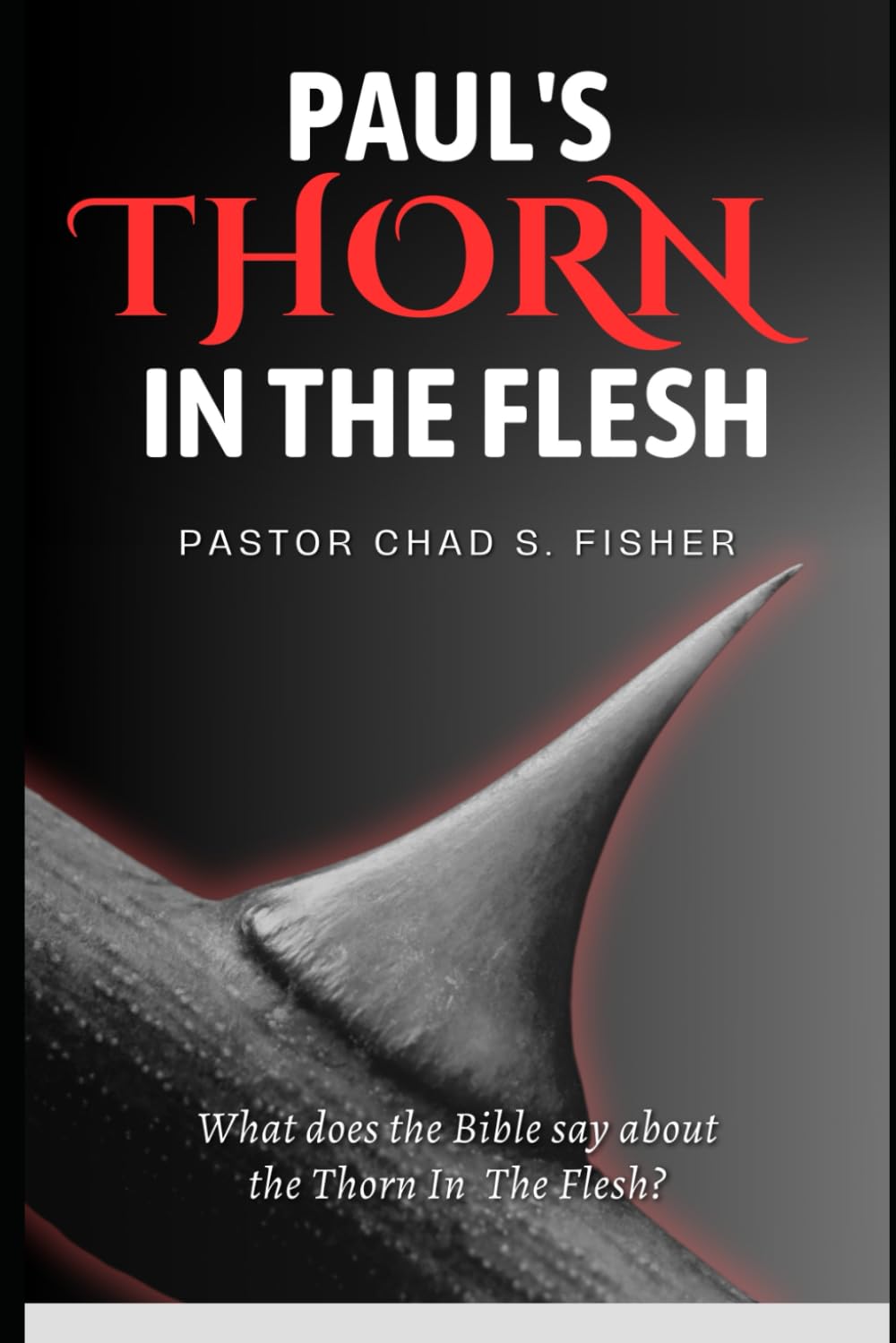 PAUL'S THORN IN THE FLESH: What does the Bible Say about the Thorn in the Flesh?