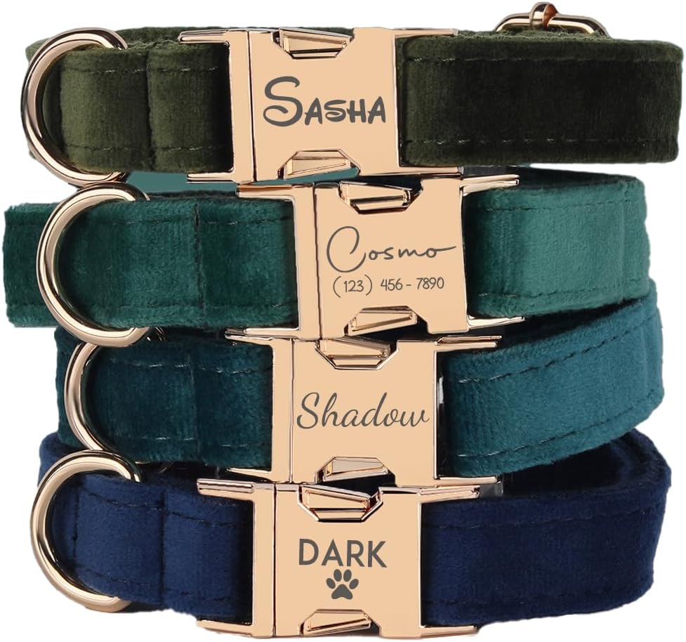 Velvet Harness Set, Gift for Pet Owners, Custom Dog Collar Personalized with Name and Phone Number, Custom Collar and Leash for Dogs, Engraved Metal Buckle Collar(Medium)