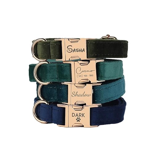 Miniatura 7 de Custom Name Dog Collar, Engraved Personalized Dog Collar with Name on it and Phone Number, Quick Release Gold Metal Buckle, Poop Bag, Harness, Leash