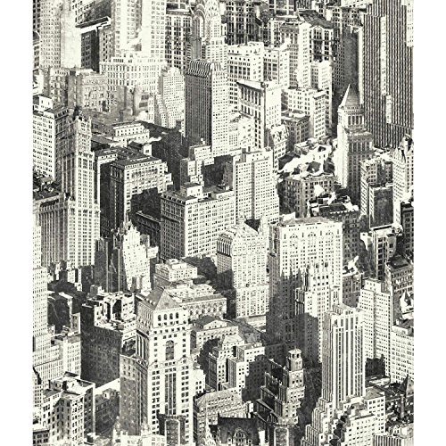 RoomMates RMK9042WP New York City Repositionable and Removable Peel and