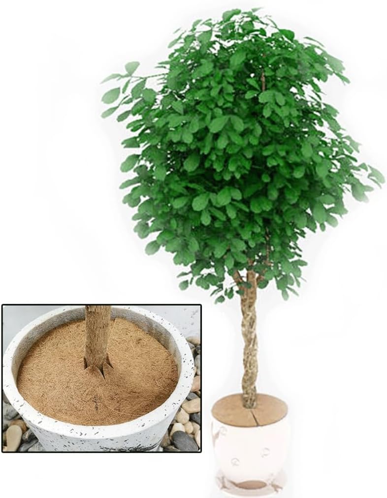 Natural Coconut Fiber Tree Mulch Mat Cover Protector Flower Pot Disc Pad Weed Warm Moisture Cushion, for Flowers and Plants Tree Protection Mats Accessories (Size : 30cm)