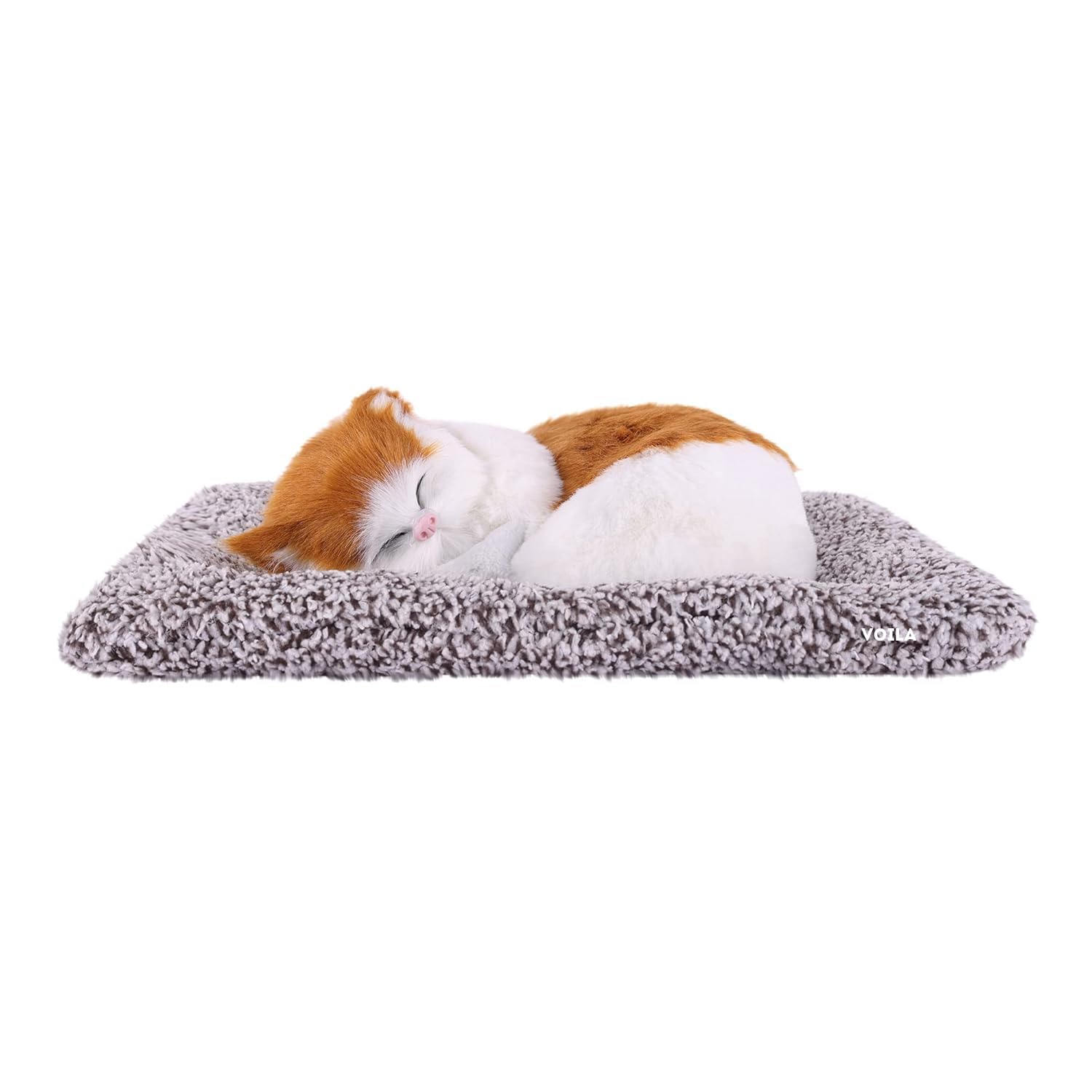 Voila Sleeping Cute Cat for Car Dashboard and Home Decor with Activated Carbon for Decoration Toy Golden and White 1