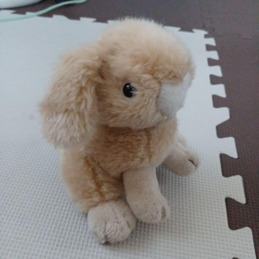 Amazon.co.jp: 上野動物園で買ったうさぎぬいぐるみ : おもちゃ