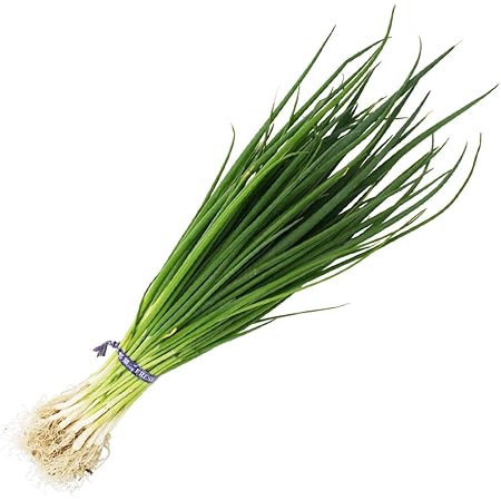 Amazon ねぎ苗 九条ネギ 浅黄系九条 細ねぎ 50本 抜き苗 岡山県産 野菜