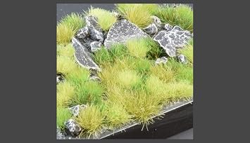 Green Meadow Set Wild