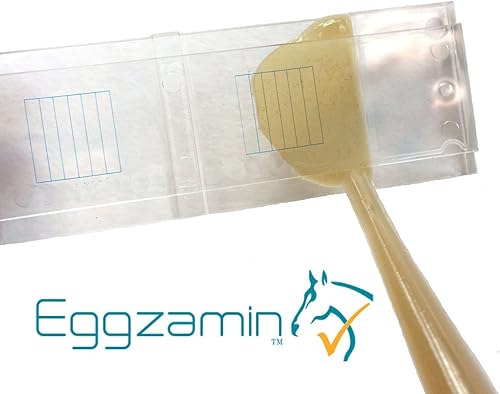 Miniatura 3 de McMaster Method Microscope Slide - FEC (recuento de huevos fecales) o recuento de gusanos, diapositiva de doble cámara para pruebas y manejo de