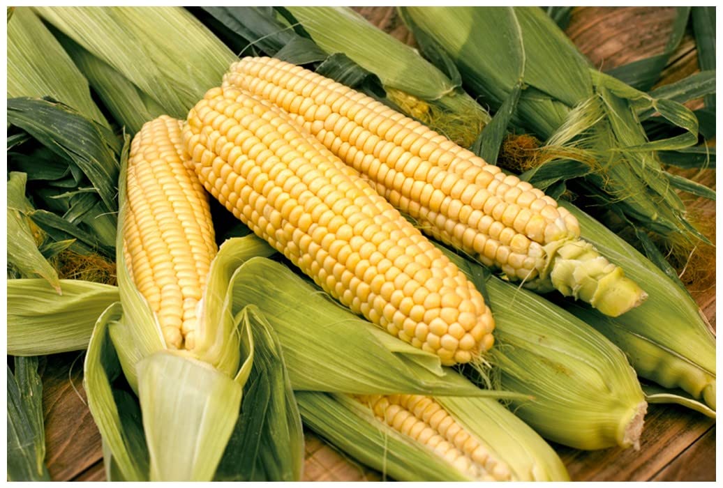 Sweet Corn SWEETCORN Bodacious F1 50 Finest