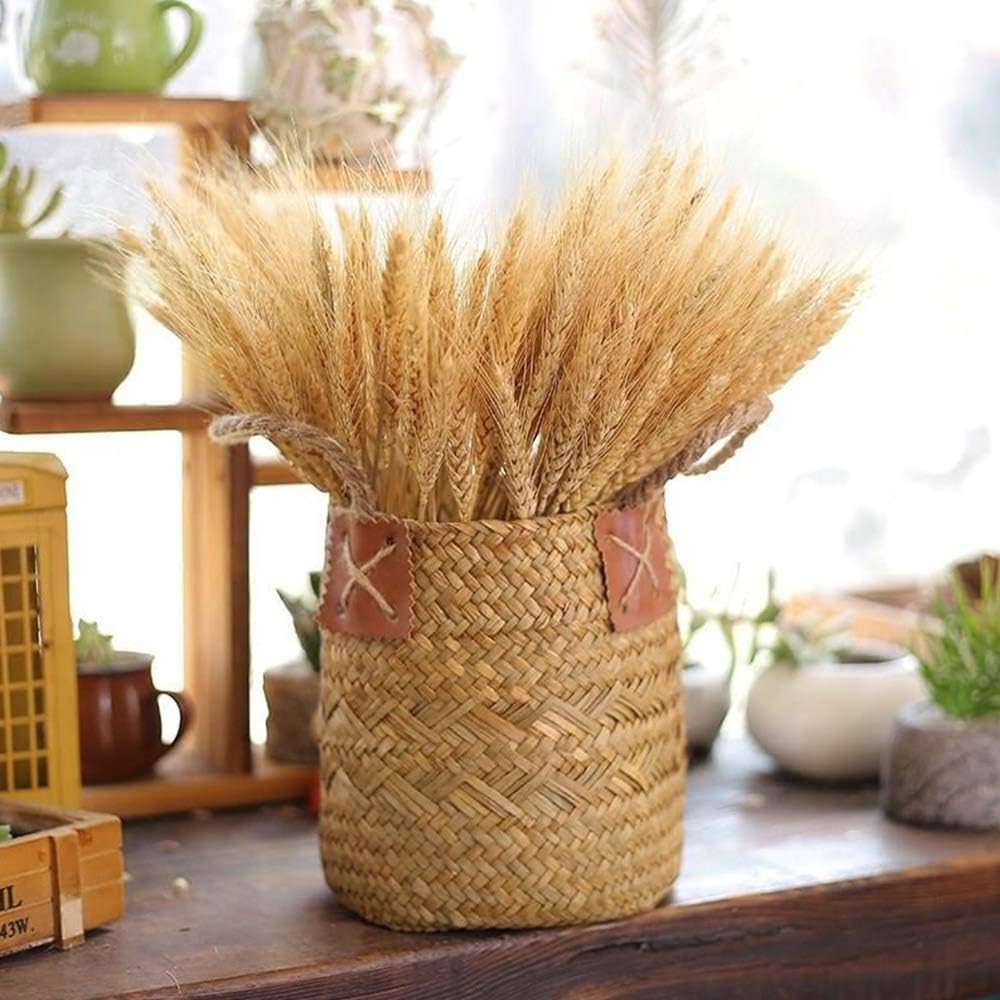 Bіg Sаlе Natural Dried Wheat Stalks, 100 Stems Wheat Sheaves for Flower Arrangements Home Wedding Decor