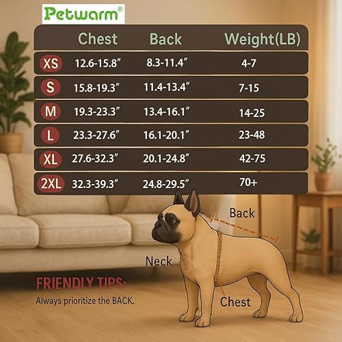 Miniatura 3 de PetWarm Traje de cirugía para perros machos, traje de recuperación para perros machos, mameluco para perros después de una cirugía, esterilización