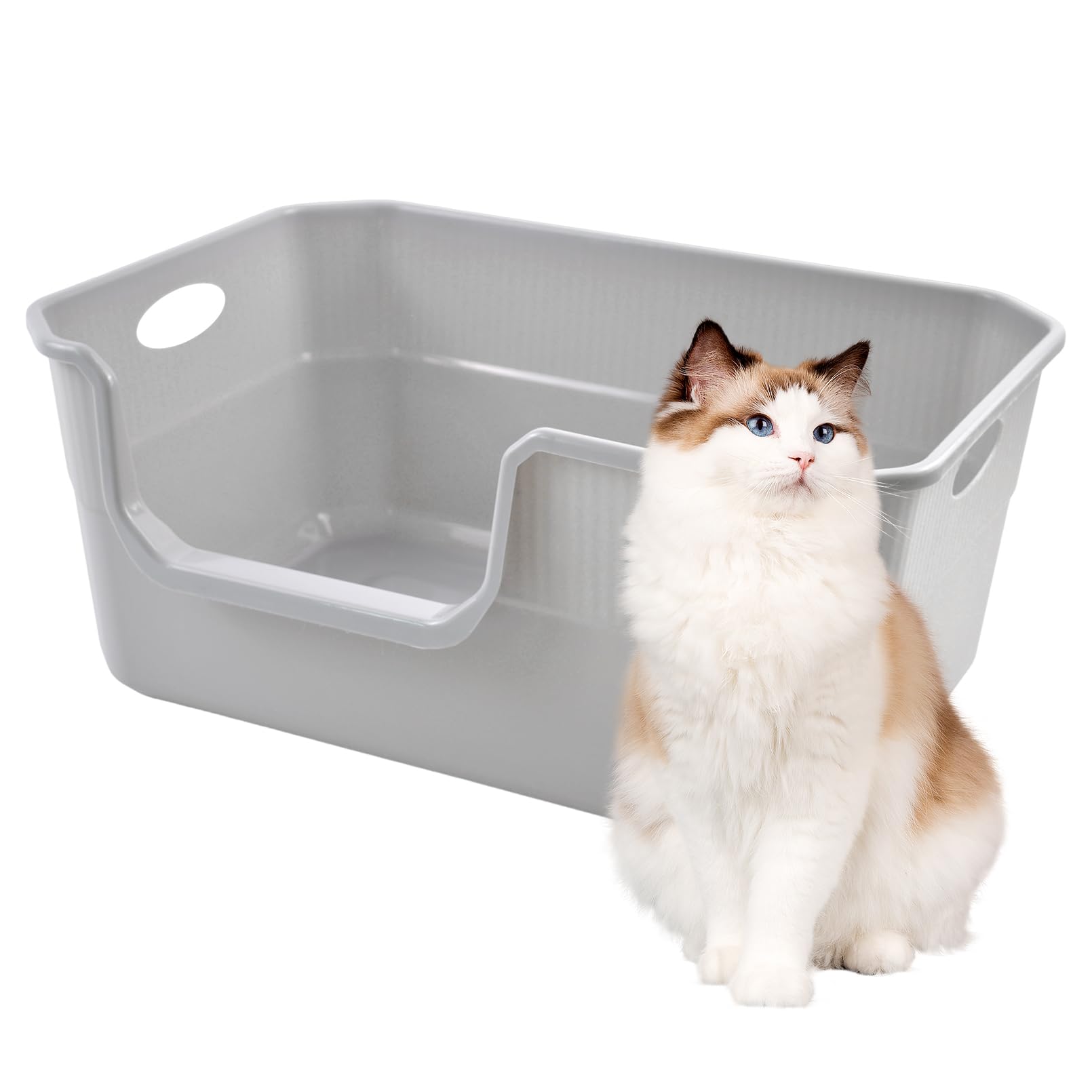 MUYG Large Open Cat Litter Box Low Entry,High Sided Cat Litter Pan Anti-Splashing Plastic Kitty Box Pan with High Wall Easy Clean,19.5" x 13.5" x 8.3"