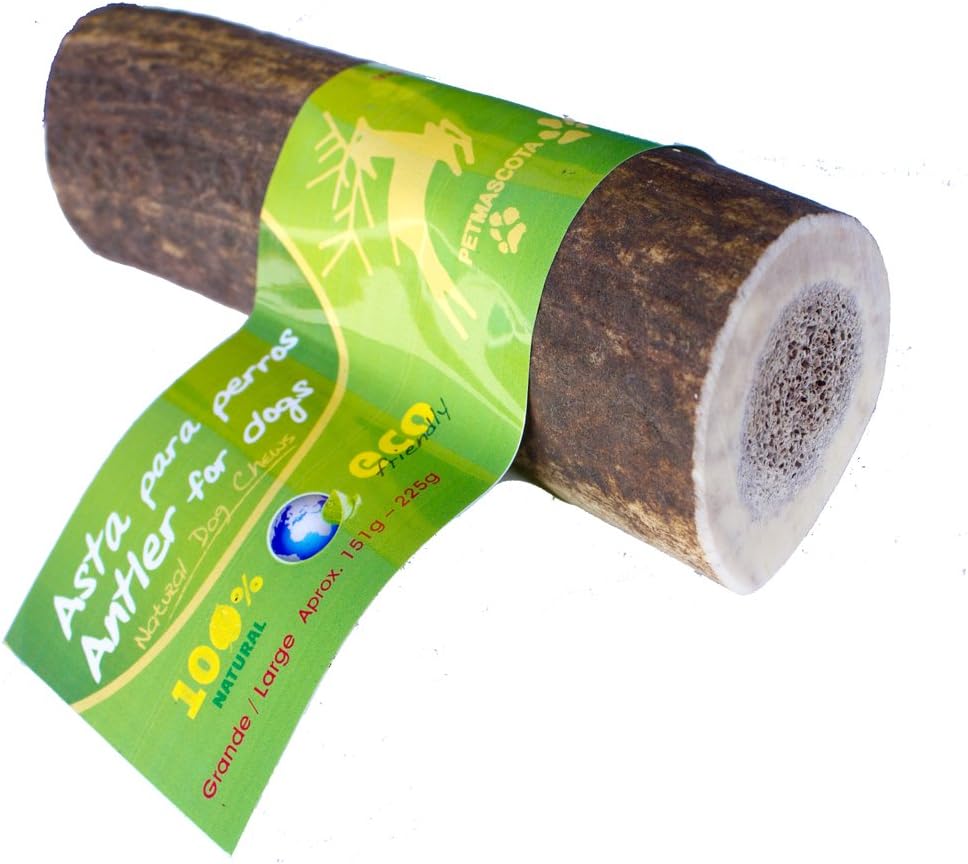 Antler dog chew - 100% natural - Large size