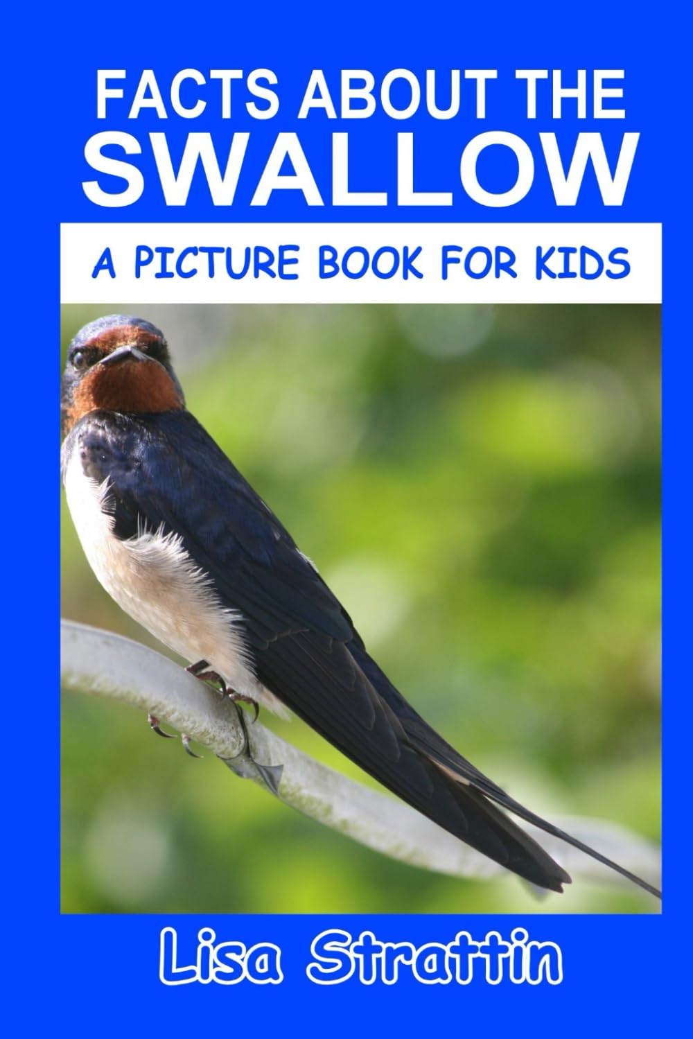 Facts About the Swallow (A Picture Book For Kids)
