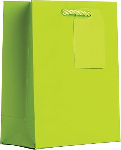 Miniatura 7 de Jillson Roberts - Bolsas de regalo (6 unidades, tamaño pequeño, 15 x 7.5 x 3.0 x 3.0in), color magenta mate