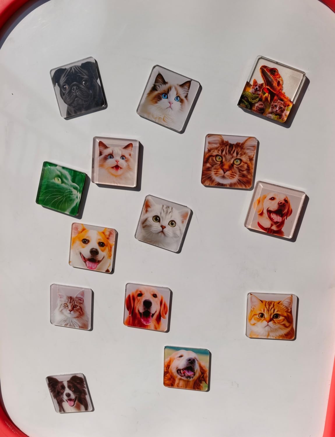 18 Stück Set zum Magnete Basteln & Selbst Gestalten – Klare 5x5 cm Fotomagnete Kühlschrankmagnete aus Acryl mit Kleberücken & Ferrit-Magneten für DIY-Deko (Küche, Büro, Schule)