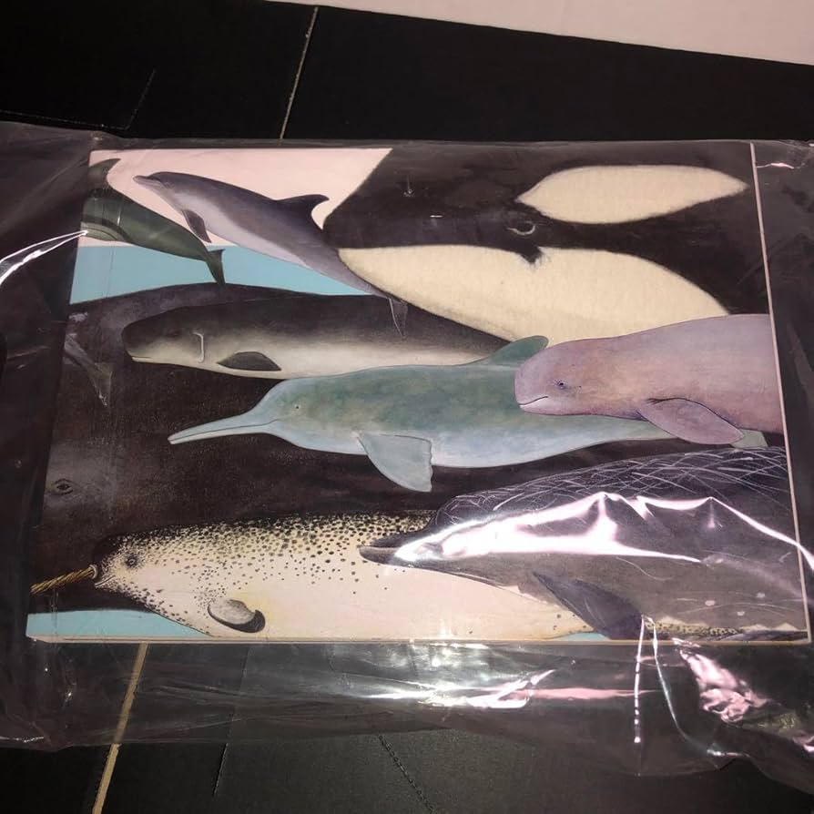 大哺乳類展2 限定品セット　国立科学博物館 特別展「大哺乳類展2―みんなの生き残り作戦」 | NEUTRAL
