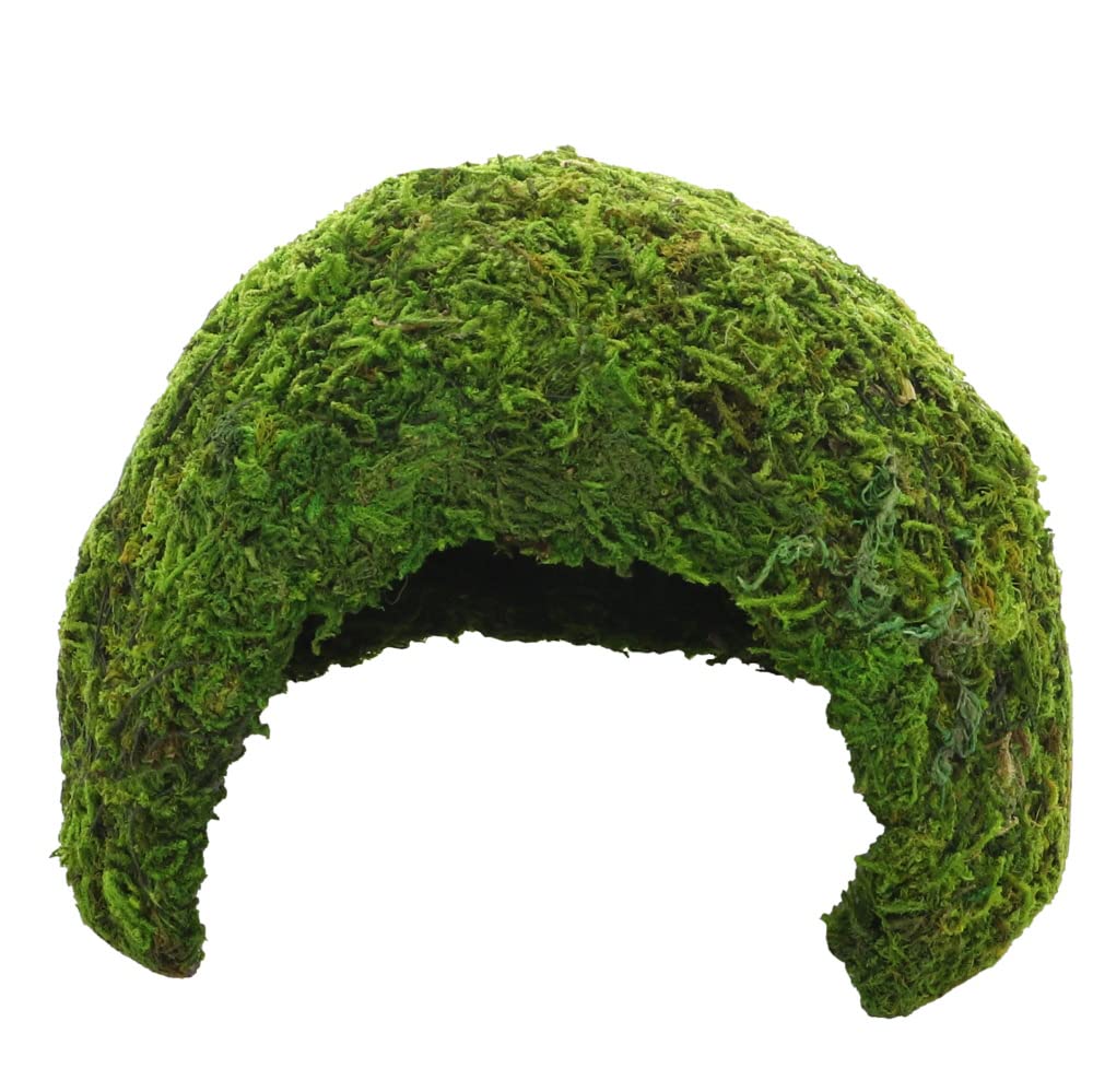 Hobby 34600 Jungle Cave 1, 74 g