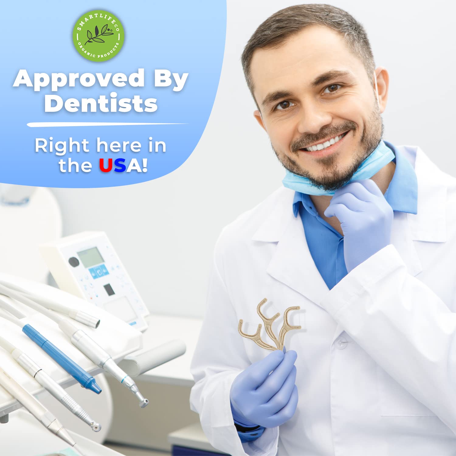 Individually Wrapped Dental Floss Picks Biodegradabl...B09YBGKFKS