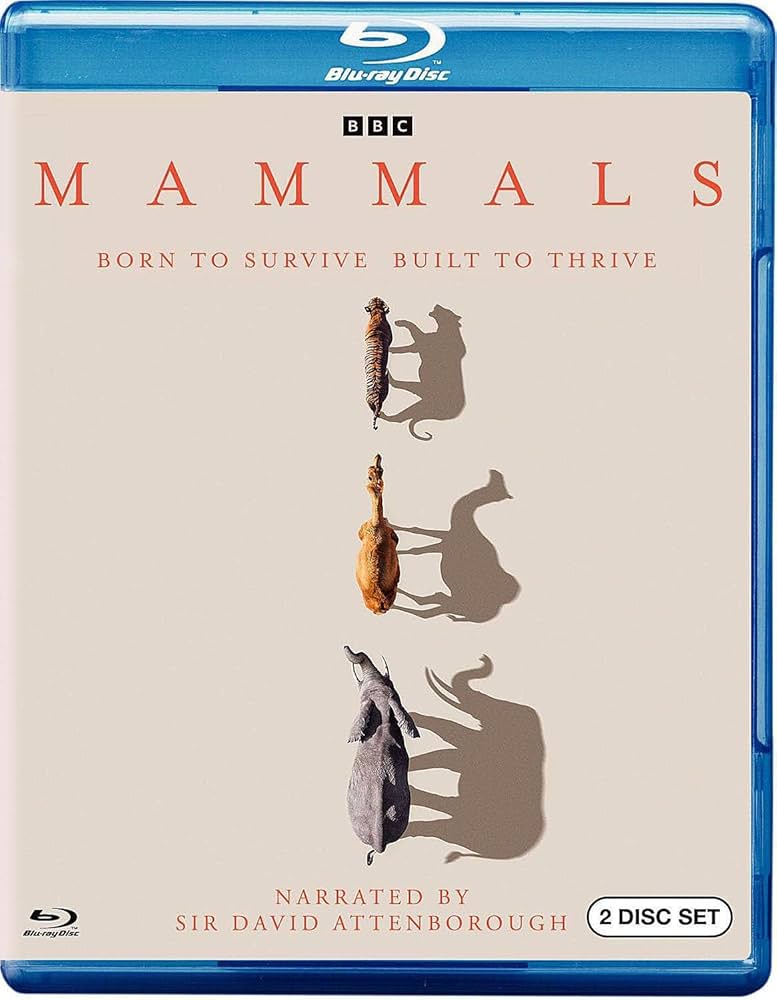 洋画・外国映画 DVD BBC THE LIFE OF MAMMALS Amazon.com: Life of Mammals, The (DVD) (Digipack) : Various