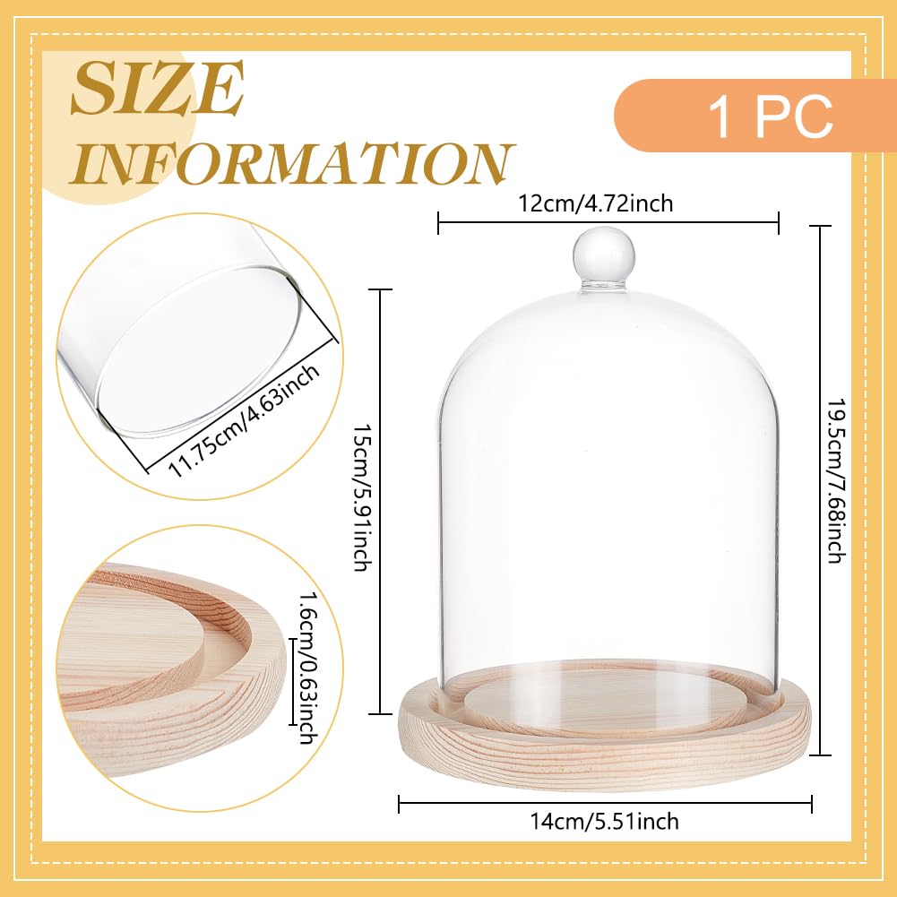 BENECREAT Cúpula de cristal de 140 x 195 mm, campana con mango superior redondo, cubierta de cristal de flores eternas con base de madera para especímenes y plantas, decoración de bricolaje
