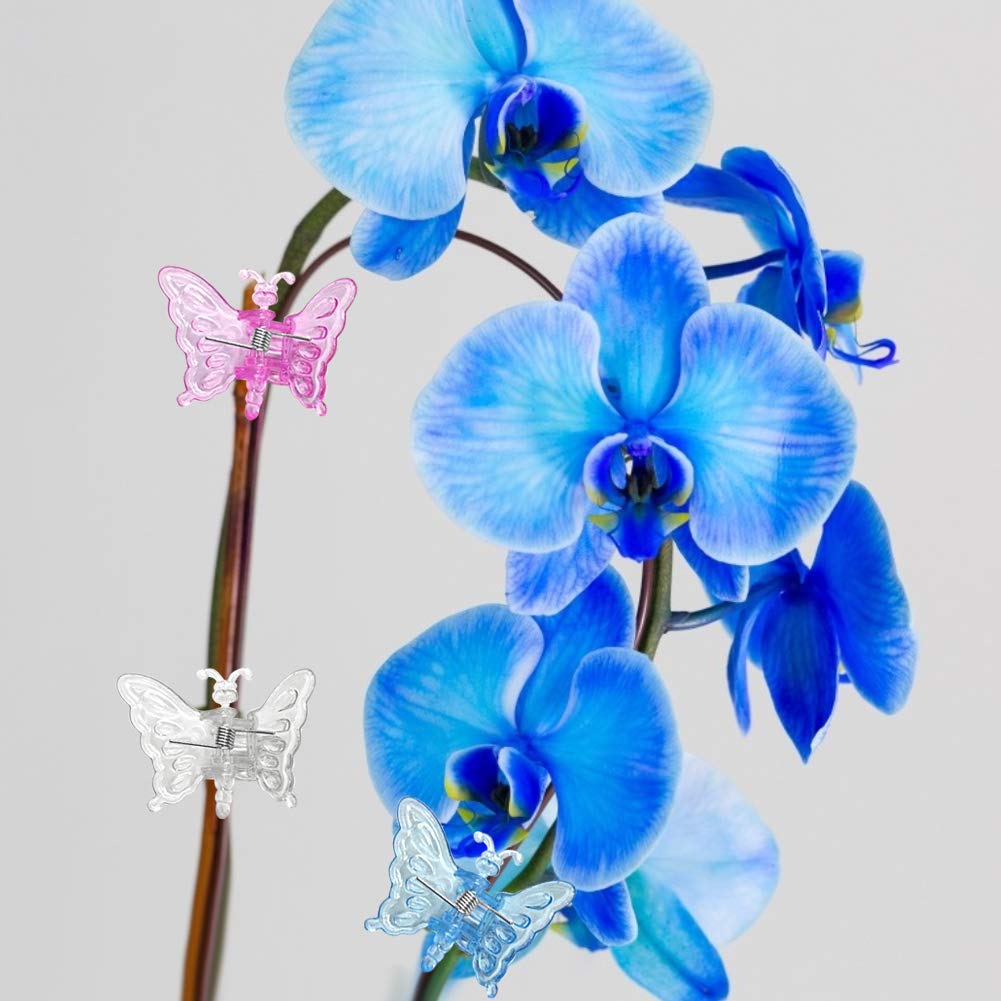 MAI USATO]100 Pezzi Di Clip Riutilizzabili Per Orchidee, Per Piante E Fiori Di Orchidee - 15 Mm Verde Scuro Resistenti E Durevoli 88267878
