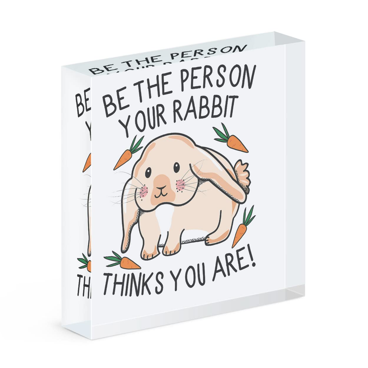 Cadre photo bloc acrylique lapin - Cadeau parfait et design original pour les amoureux des animaux