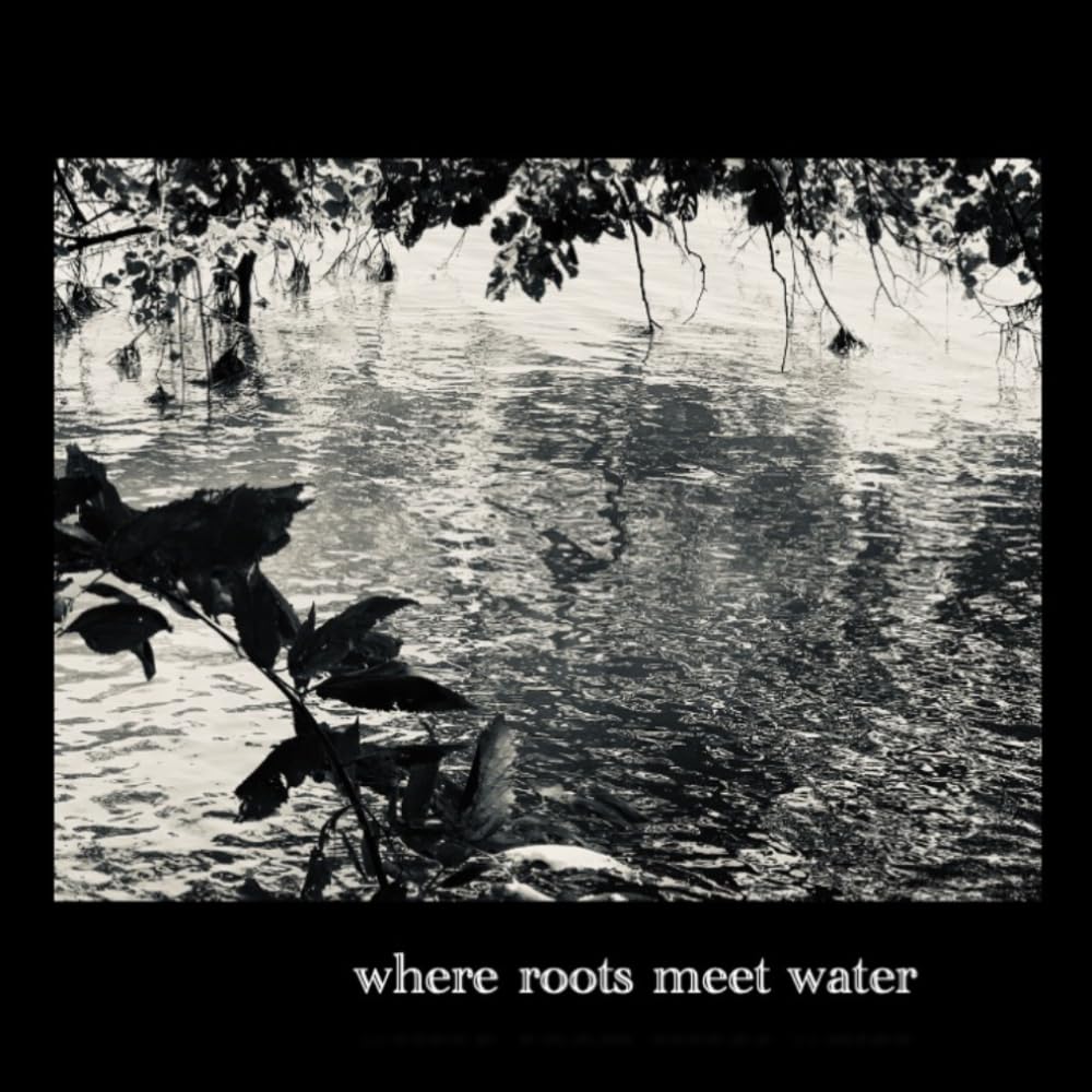 Where roots meet water