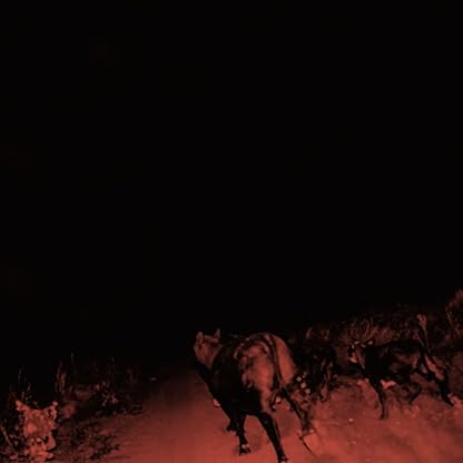 Shadow On Everything [Disco de Vinil] por Bambara — capa do álbum