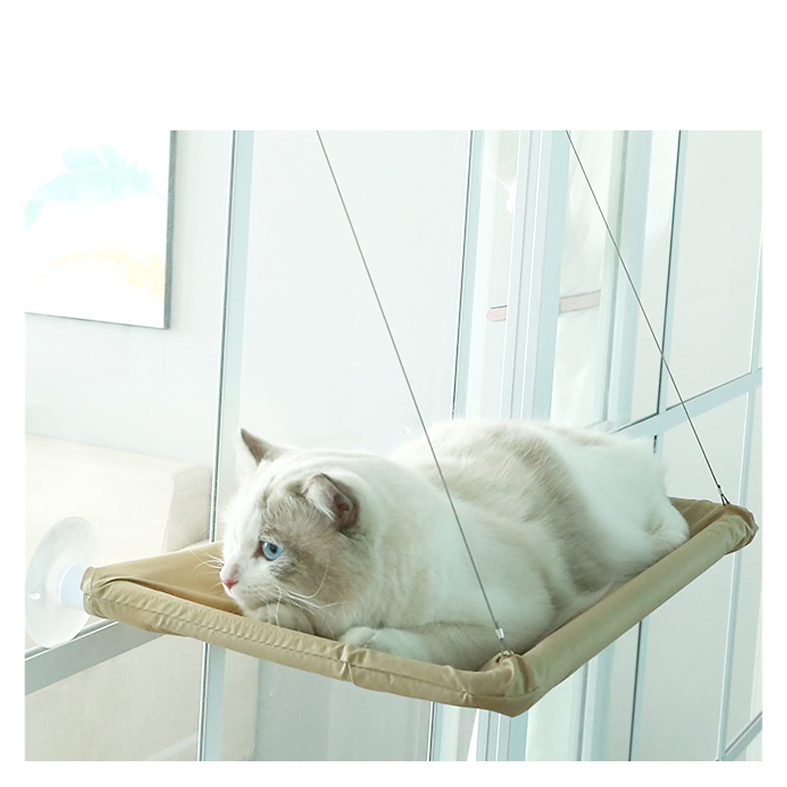 Hamac Chat/Perchoir à Chat Siège de chat de fenêtre, siège de fenêtre de chat de chat avec ventouses fortes, lit de chat monté sur fenêtre for chats d'intérieur, sécurité, économie d'espace, facile à