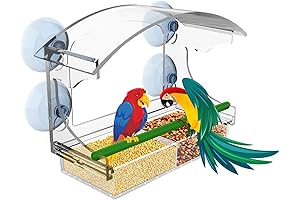 Window-Mounted Bird Feeder with Enhanced Suction