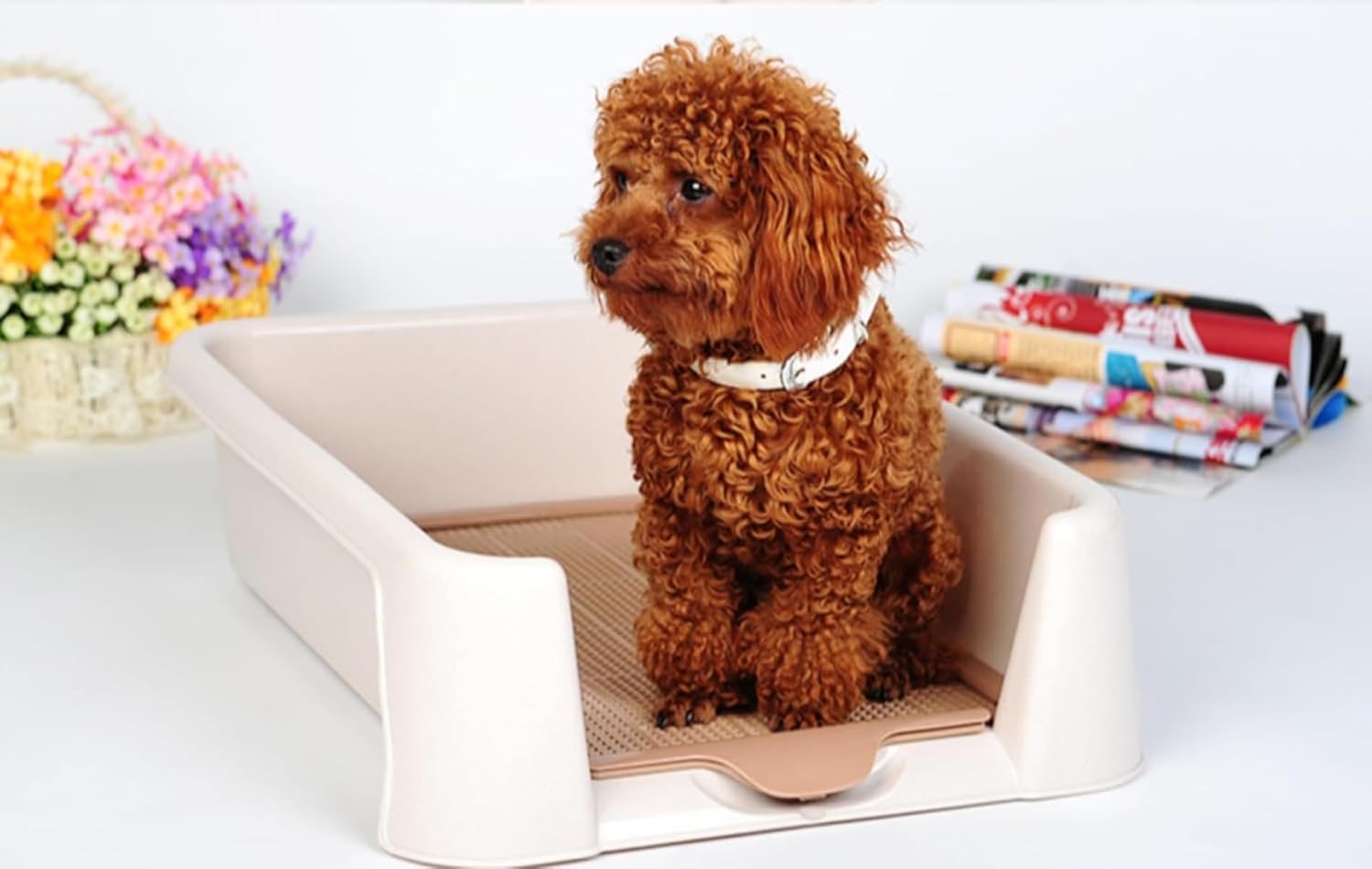 ペットトイレ 囲い付き 飛び散り防止 滑り止め 小型中型犬 猫用 お掃除簡単 レギュラーサイズ ふち漏れ防止 グリーン (L-56*