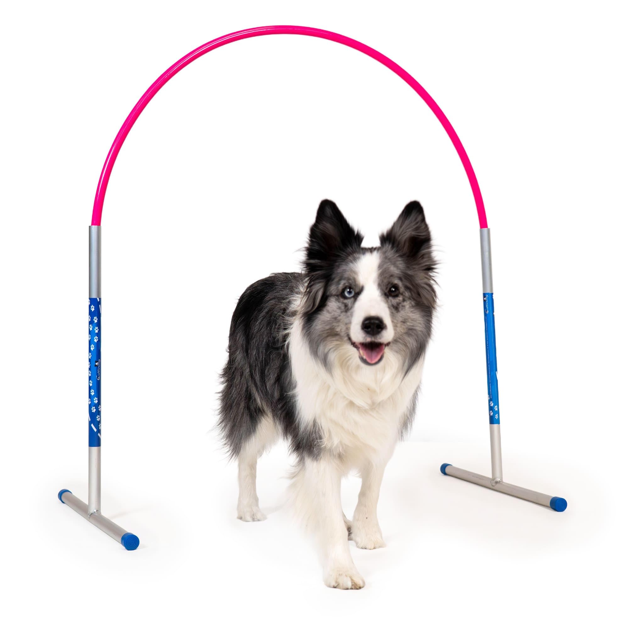 Callieway Hoopers Agility Hoops aus Aluminium, 6er Set ohne Mittelstrebe, frei formbar & universell verstellbar, VDH & NADAC konform