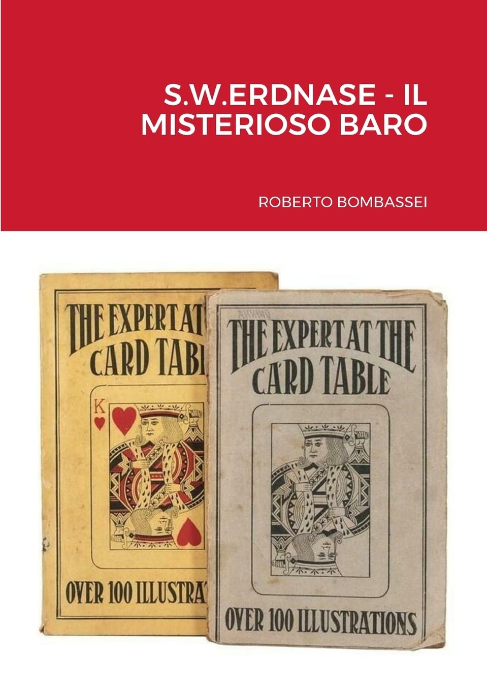 S.W.ERDNASE - IL MISTERIOSO BARO (Italian Edition)