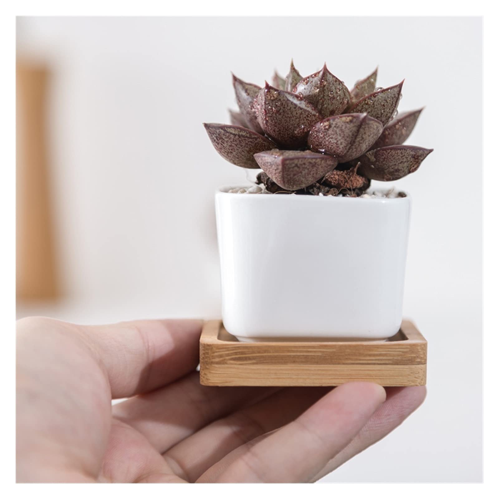 Doniczka 2 sztuki geometryczna biała ceramiczna kwadratowa doniczka do Bonsai mała doniczka na sukulenty nowoczesny mały kaktus doniczka taca doniczka