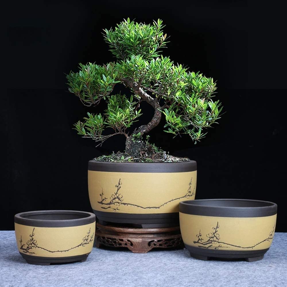 Lar Ceic doniczka na kwiaty, 17 x 10 cm, idealna do bonsai i dekoracji domu, bęben -SD, wentylowana doniczka do majsterkowania, idealna dla mamy i małych roślin