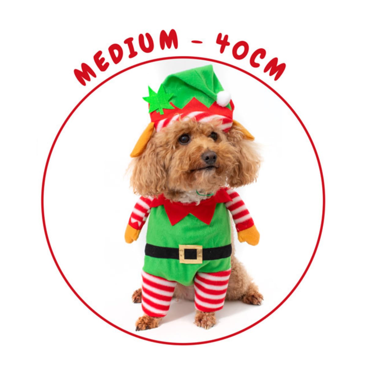 View 4