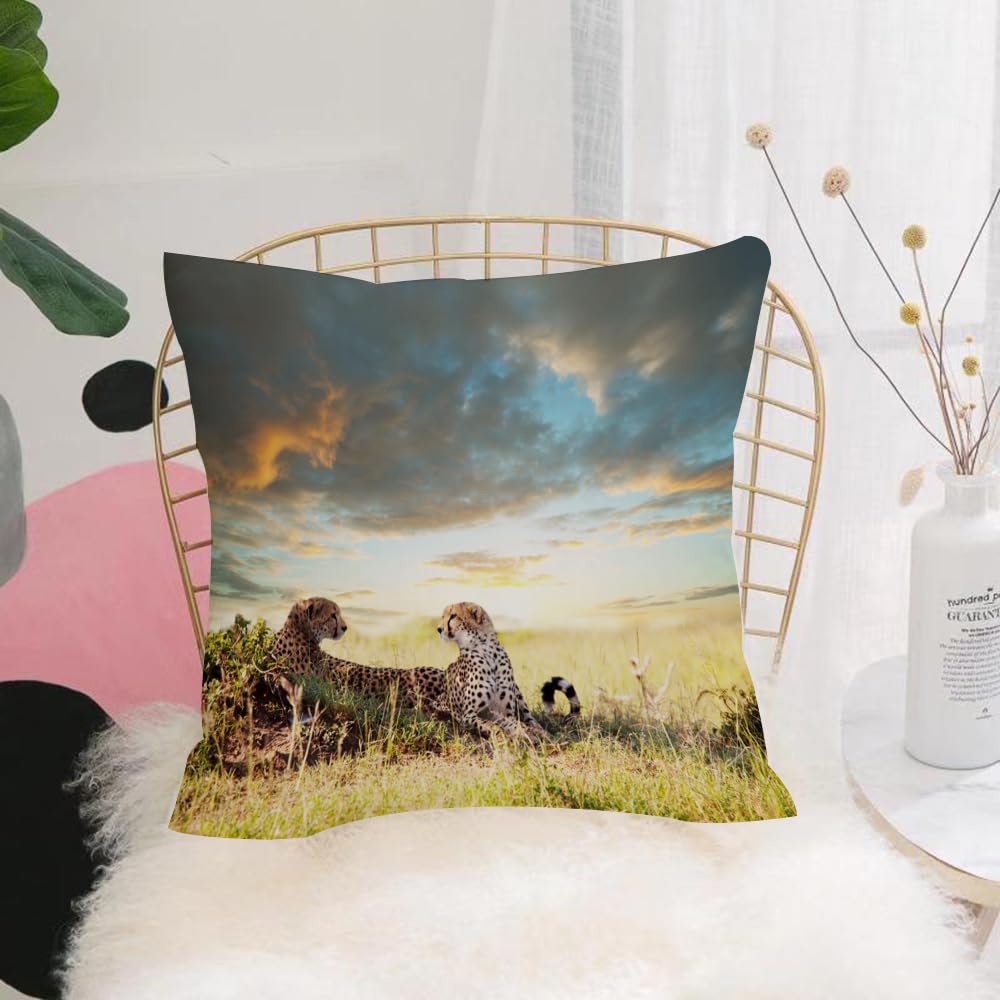 Hyosxw Safari Decor, Two Cheetahs, Africa Nature, D - A5 Cushion Cover,Throw Pillow Case Home Decorative For Living Room Bedroom Sofa Chair 18X18 Inch,Safari Decor, Two Cheetahs, Africa Nature, Dangerous Animals, Hunters,Pillowcase 45X45cm